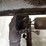 walker-mddghs-image-34