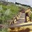 new-holland-30-image-2