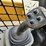 caterpillar-259d-image-15
