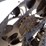 2019-wacker-neuson-rc70-image-41