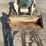 2015-bobcat-t590-image-9