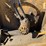 haybuster-2650-image-4