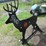 #5210-•-full-size-deer-target-image-3
