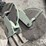 kinze-2600-image-4