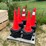 #2451-•-kj-new-(60)-traffic-cones-image-1