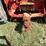 case-ih-9170-image-35