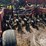 case-ih-2400-image-44