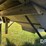 2009-timpte-grain-hopper-image-22