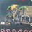 2017-caterpillar-262d-image-20