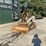 2006-bobcat-t180-image-11