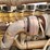 1999-peterbilt-379-image-35