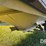 2009-timpte-grain-hopper-image-26