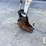 2020-bobcat-e35i-image-15
