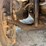 2003-international-durastar-4300-image-36