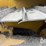 2019-caterpillar-d6t-image-18