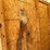 7-ft-6-in.-x-16-ft-storage-container-image-14
