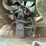 2019-toro-dingo-tx1000-ride-on-multi-terrain-40569-image-17