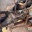 2006-international-durastar-4300-image-46