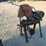 #3537-•-chop-saw,-electric-image-1