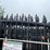 #2460-•-new-kj-7'-x-20'-metal-farm-driveway-gate-image-8