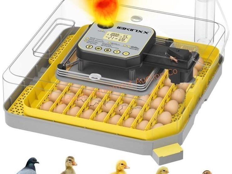incubator-for-hatching-eggs-48-egg-capacity-image-1