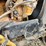 1999-peterbilt-379-image-38