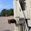 #3509-•-blower-with-fitter-box,-electric,-skid-mtd-image-11