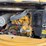caterpillar-303-image-15