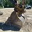 2006-caterpillar-325dl-image-55