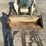 2015-bobcat-t590-image-14