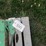 #5338-•-jd-front-weights-image-2
