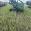 john-deere-224-image-2