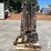 2007-daewoo-gc25e-image-7