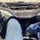 2019-bobcat-t650-image-24