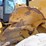 2014-caterpillar-950k-image-89