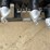 #2476-•-jct-skid-steer-auger-drive-attachment-image-13