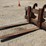 #3539-•-fork-frame-with-forks-image-2
