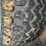 john-deere-gator-image-20