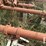 lilliston-30-image-5