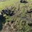 john-deere-5-image-11