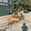 2006-bobcat-t180-image-8