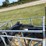 #2496-•-jct-heavy-duty-skid-steer-backhoe-arm-image-2
