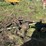 john-deere-5-image-13