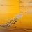 unused-2025-greatbear-7-cy-bedding-box-image-32