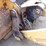 2014-caterpillar-950k-image-71