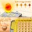 incubator-for-hatching-eggs-48-egg-capacity-image-3