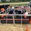 #2724-•-new-wig-packing-machine-attachment-image-2