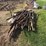 pallet-of-misc-fence-posts-&-braces-image-5