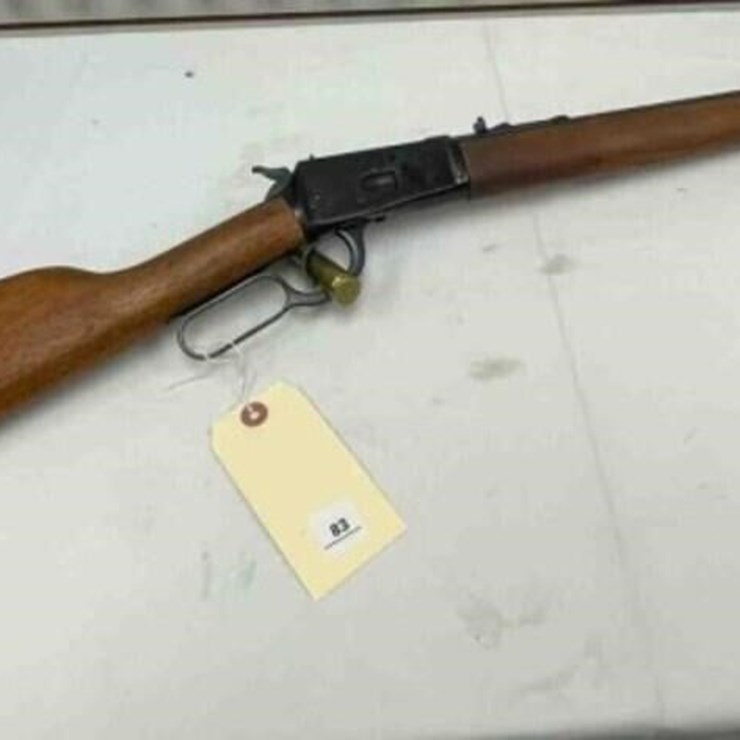 Rossi 44 mag Rifle