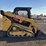 2021-caterpillar-249d3-image-7